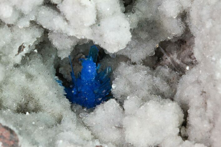 Vibrant Blue Cavansite Cluster on Stilbite - India #168239